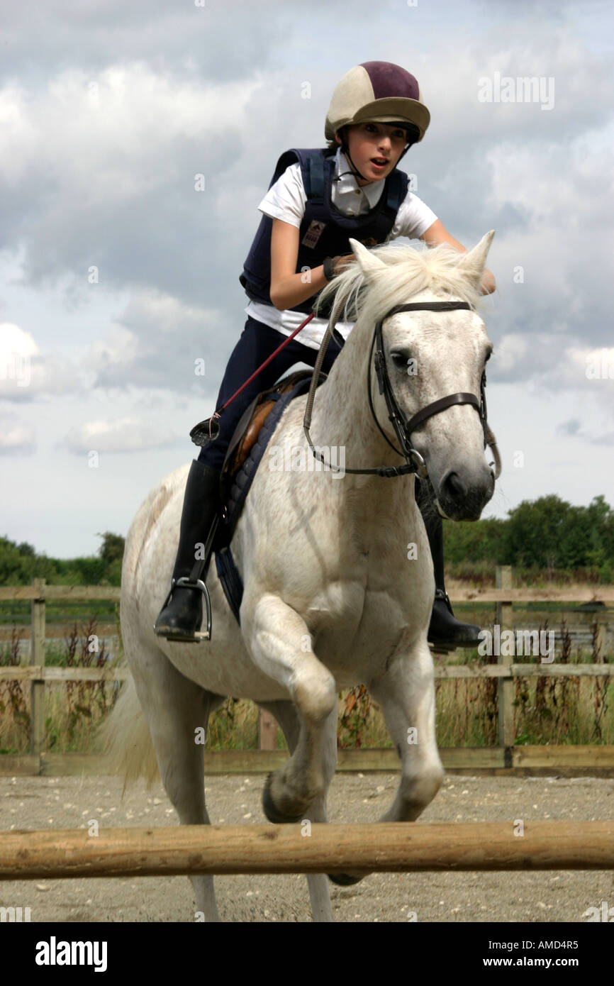 Ein Lauffeuer der Pony Hürden. Stockfoto