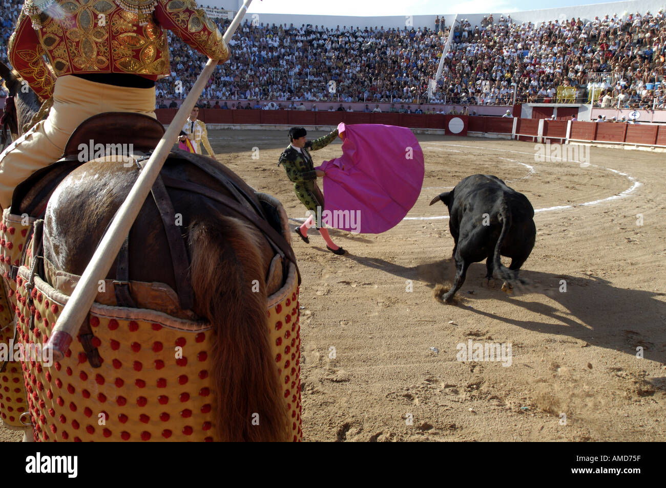 Stierkampf in Mallorca Spanien Mallorca Mittelmeer Süd Europa Corrida de Toros Torero Stockfoto