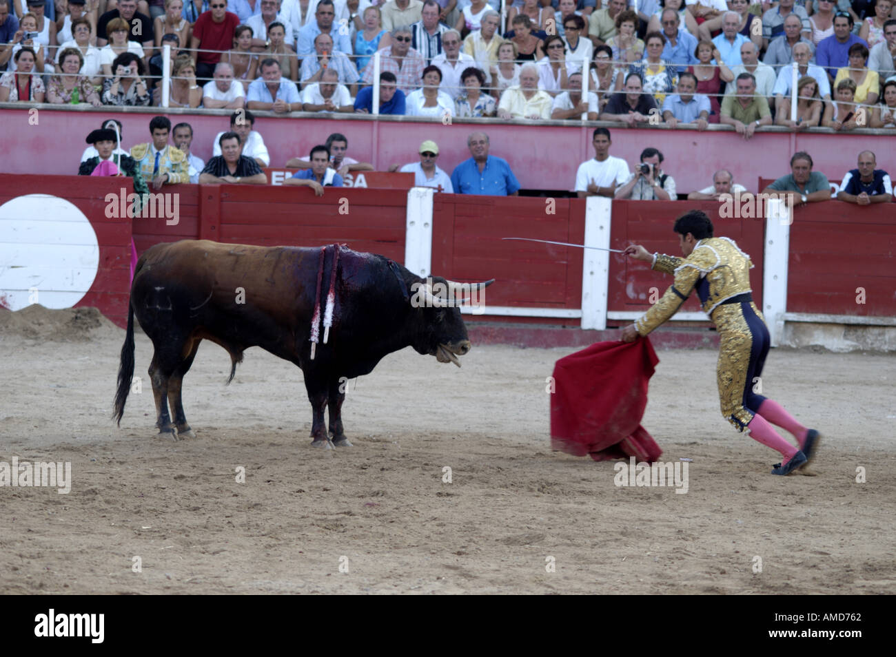 Stierkampf in Mallorca Spanien Mallorca Mittelmeer Süd Europa Corrida de Toros Torero Stockfoto