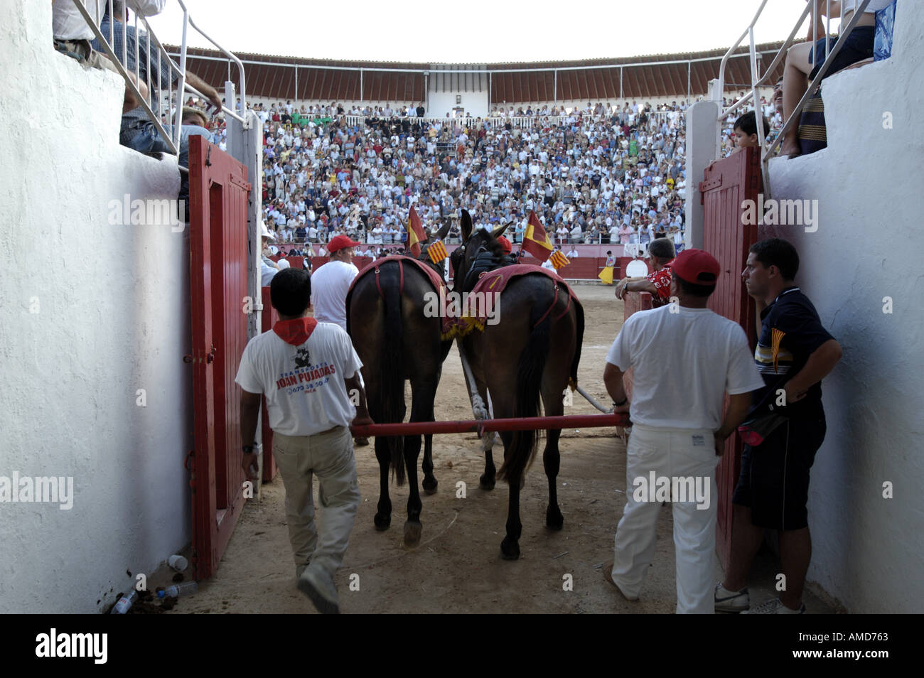 Stierkampf in Mallorca Spanien Mallorca Mittelmeer Süd Europa Corrida de Toros Torero Stockfoto