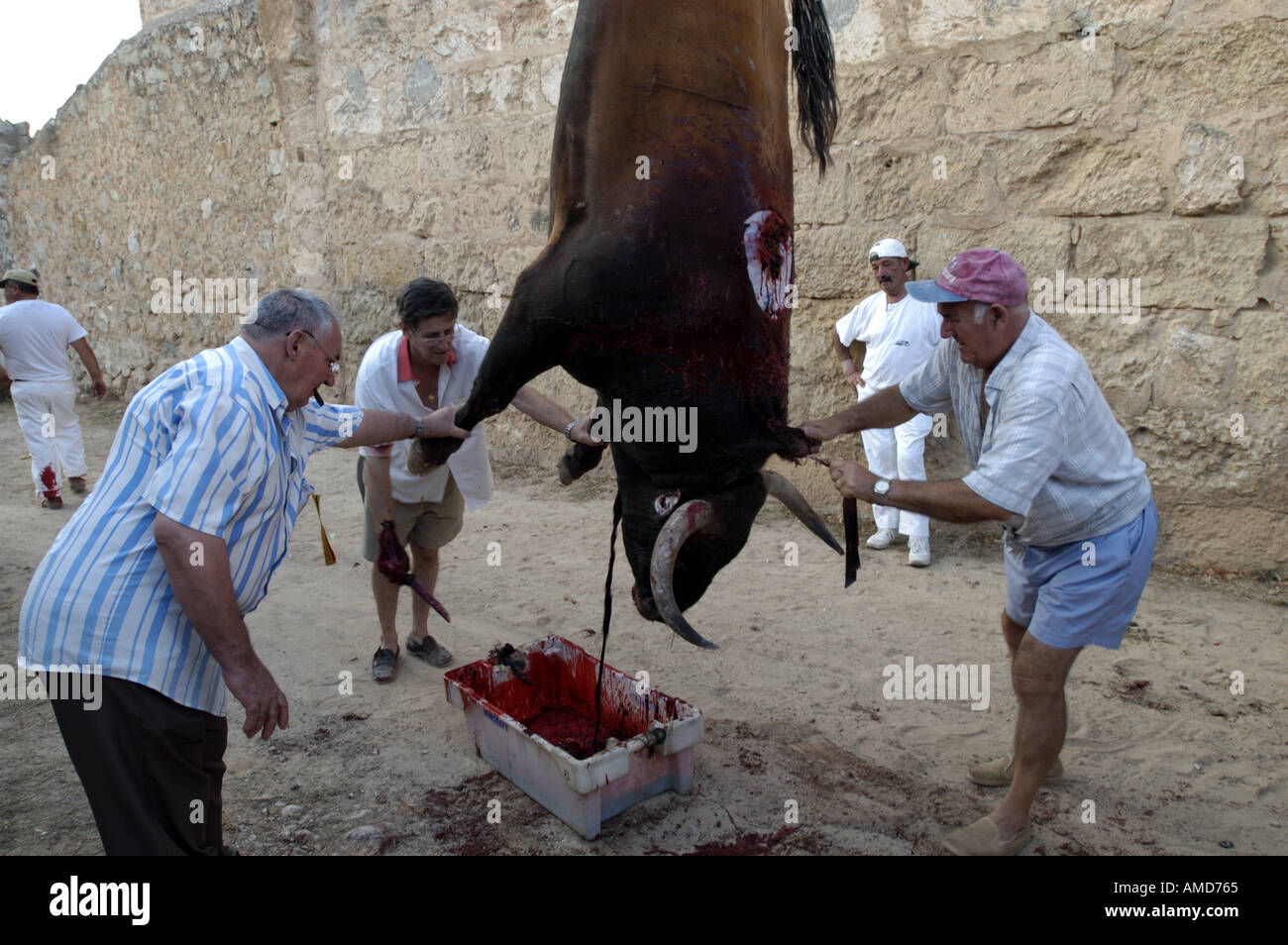 Stierkampf in Mallorca Spanien Mallorca Mittelmeer Süd Europa Corrida de Toros Torero Stockfoto