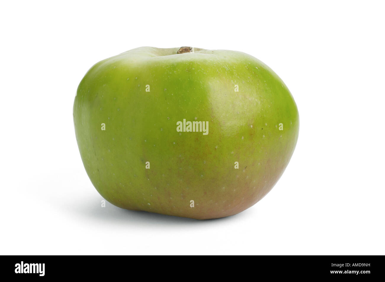 Bramley Apple Stockfoto