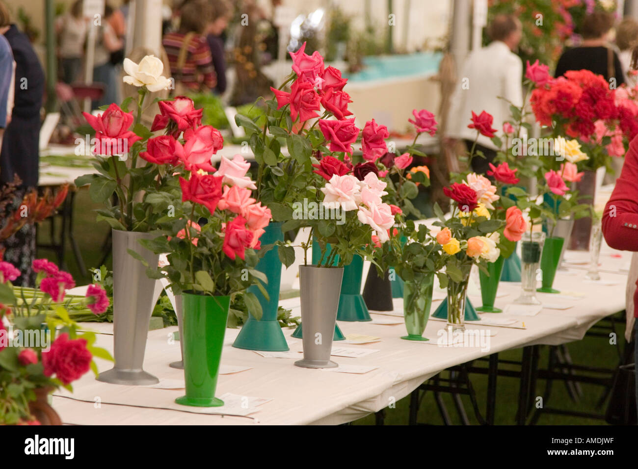 Preisgekrönte Blumen auf dem Display auf die Taunton Flower show Stockfoto