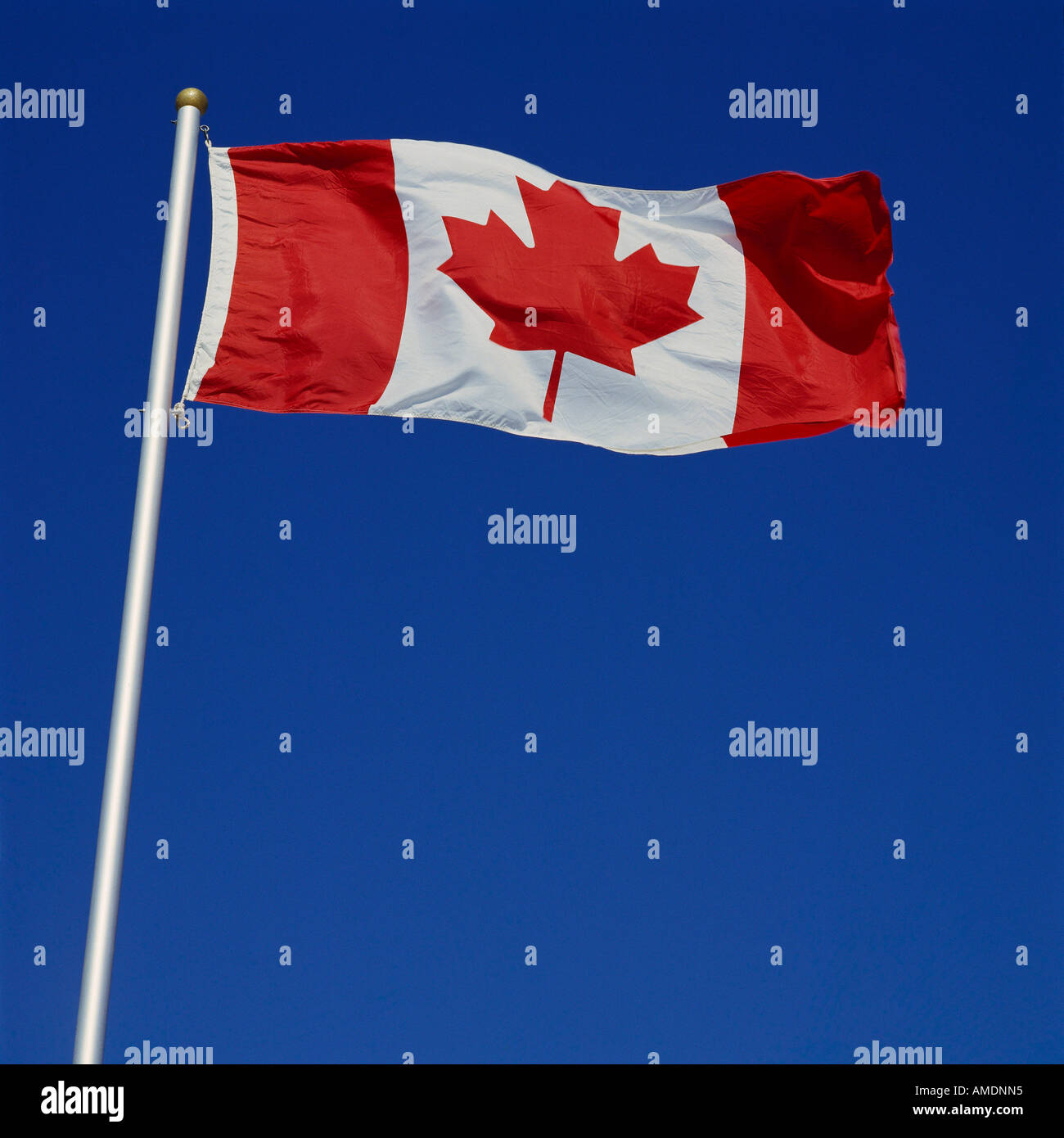 Kanadische Flagge Stockfoto