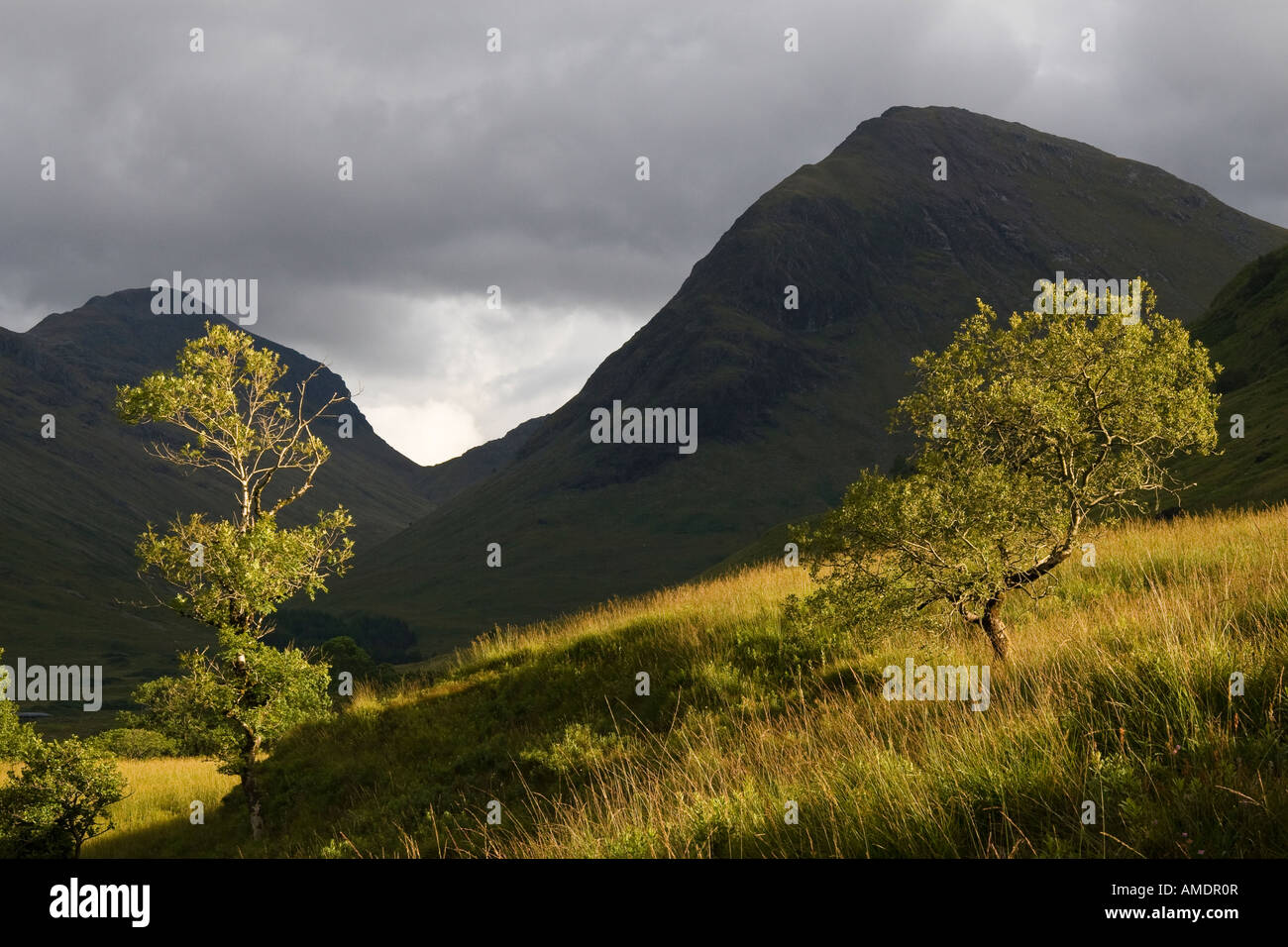 Blick auf Stob eine Fhuarain (rechts) und Beinn Maol Chaluim, Glen Coe, Highland Region, Schottland Stockfoto