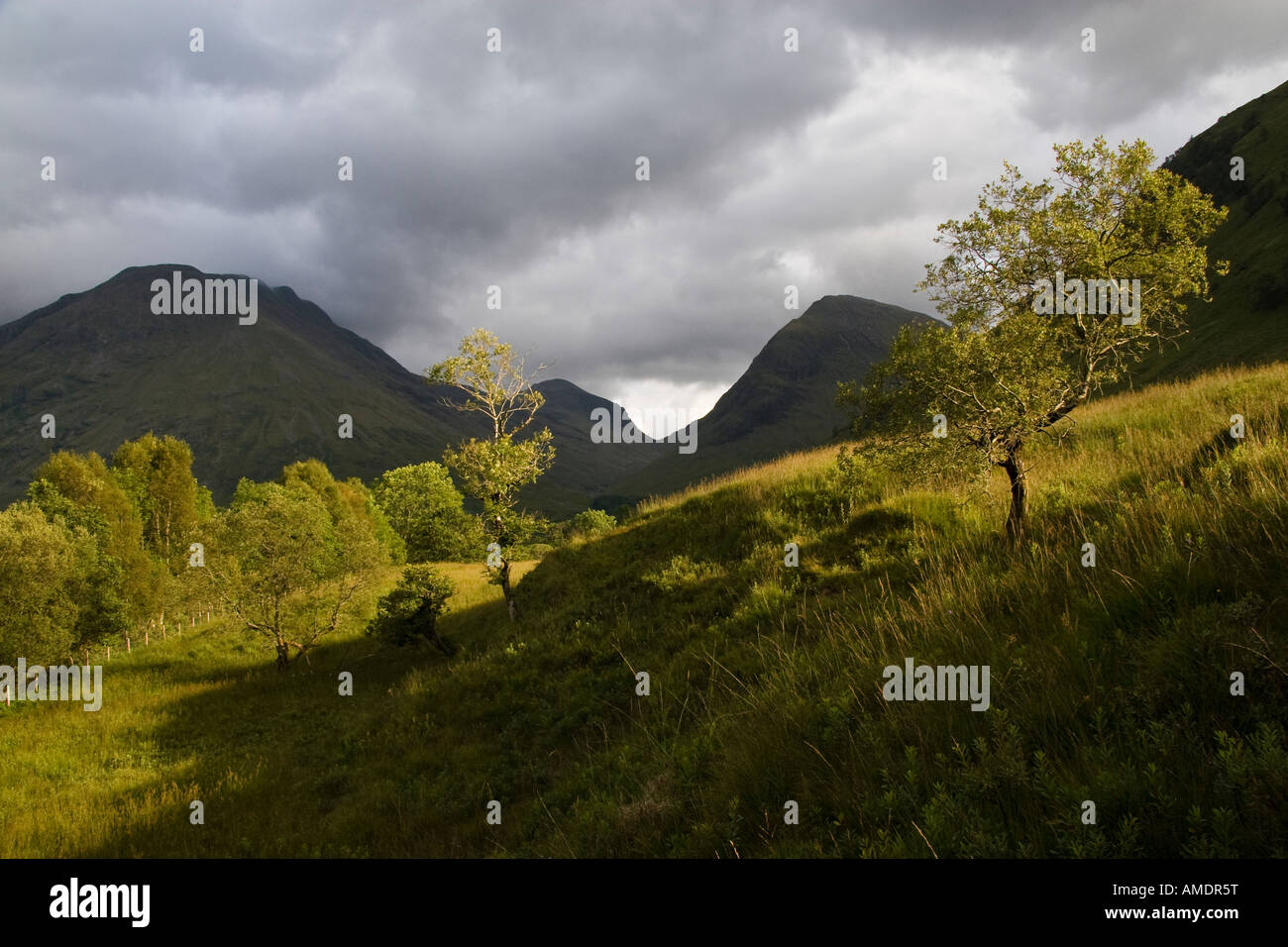 Blick auf Stob ein Fhuarain (Mitte) und Beinn Maol Chaluim, Glen Coe, Highland Region, Schottland Stockfoto