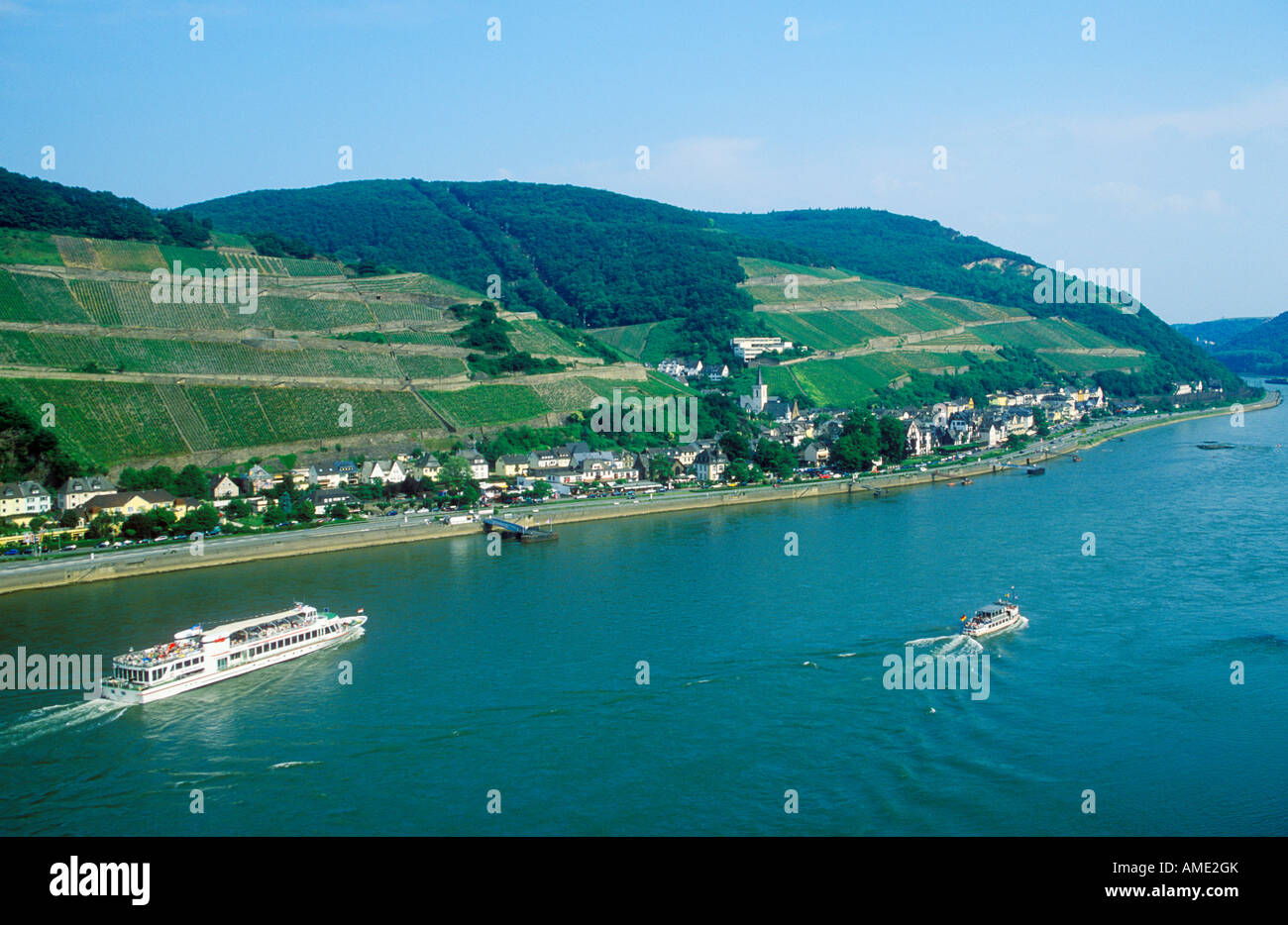 Panoramablick über Assmannshausen im Flusstal Rheins in Deutschland von der Burg Rheinstein Stockfoto