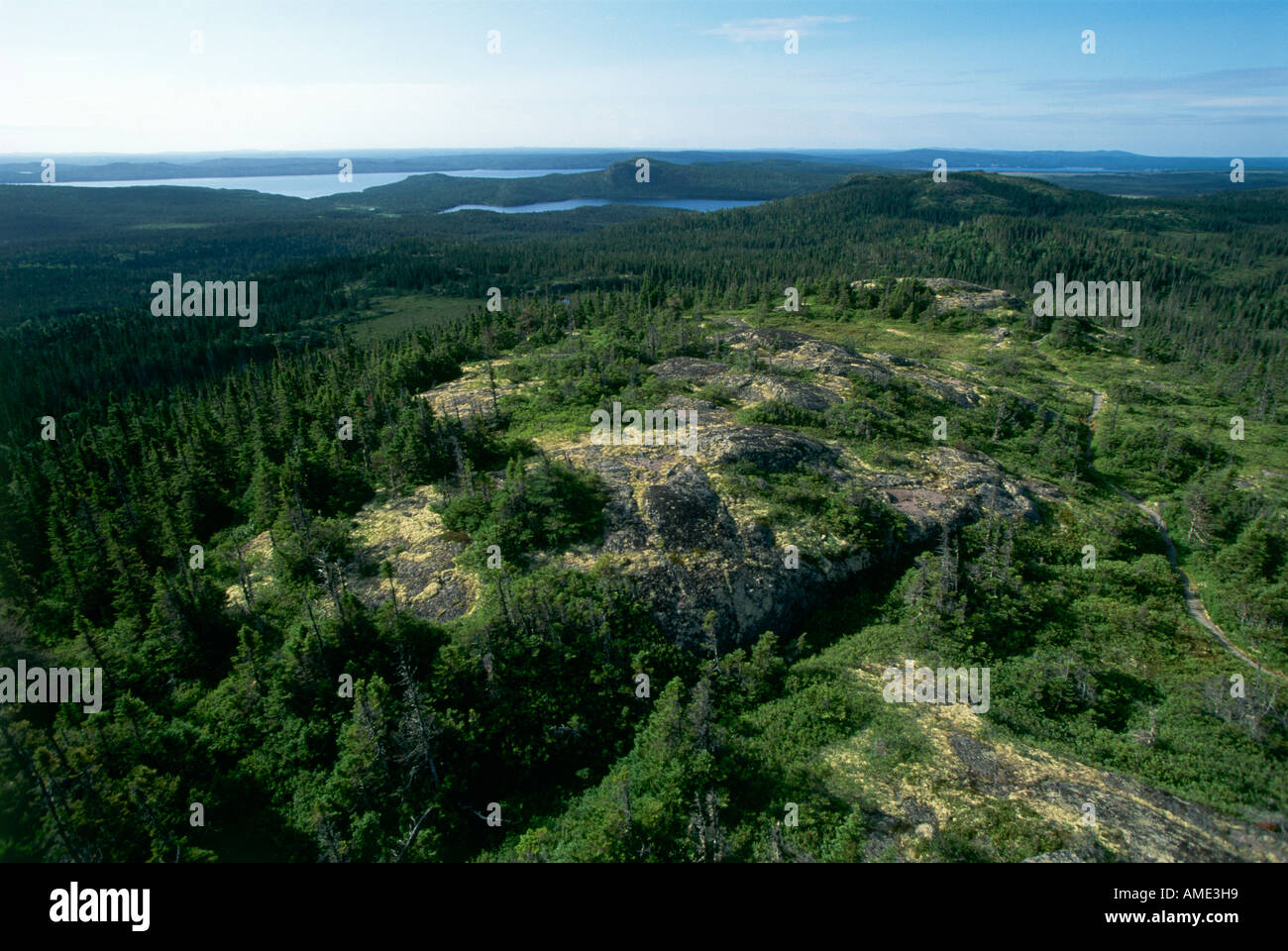 An der Grenze Bonavista Bay Terra Nova Nationalpark besteht aus Teich Nadelwäldern und Sümpfen Stockfoto