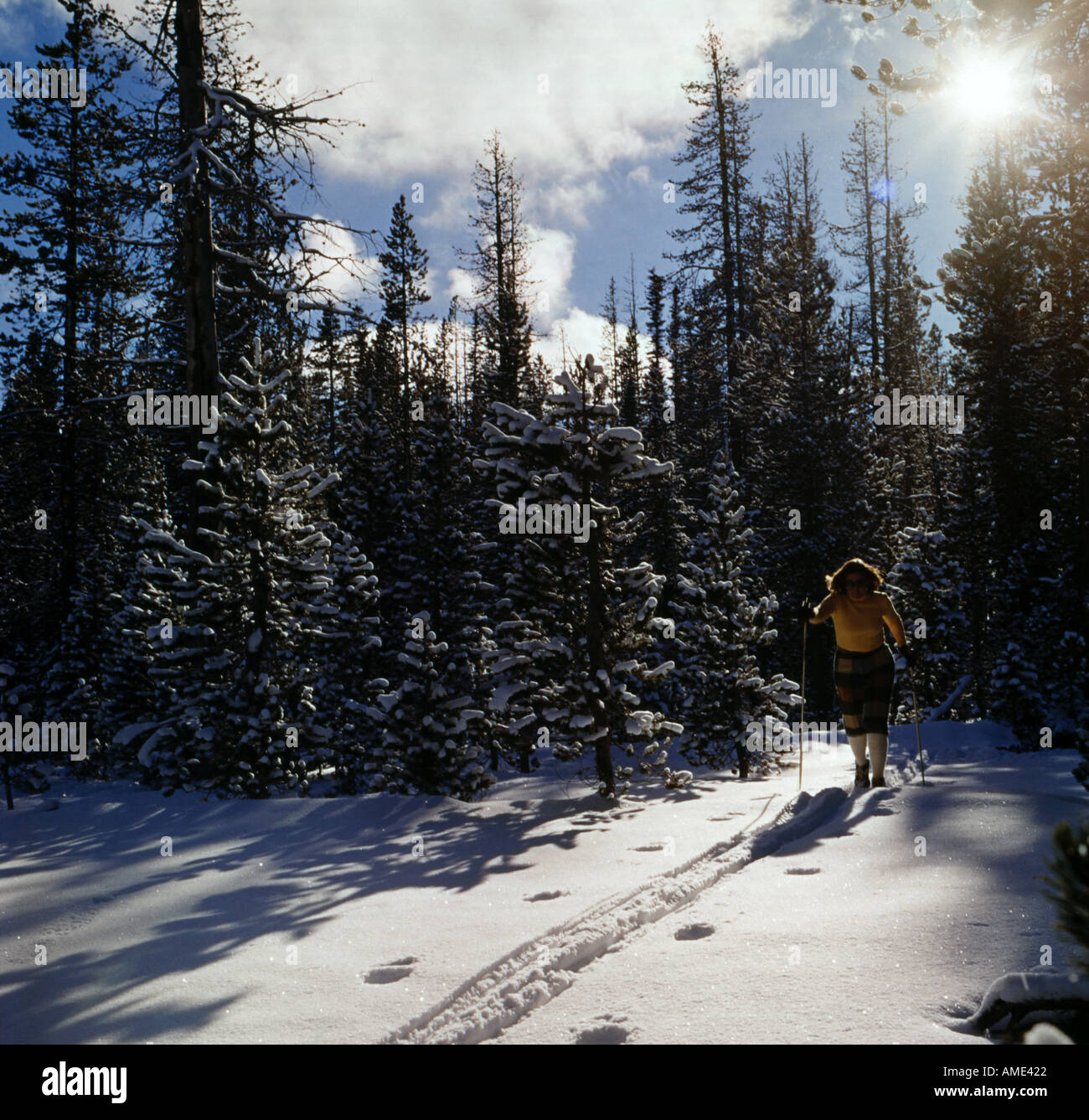 Cross Country Ski in eine winterliche Szene in der Cascade Mountains of Central Oregon Stockfoto