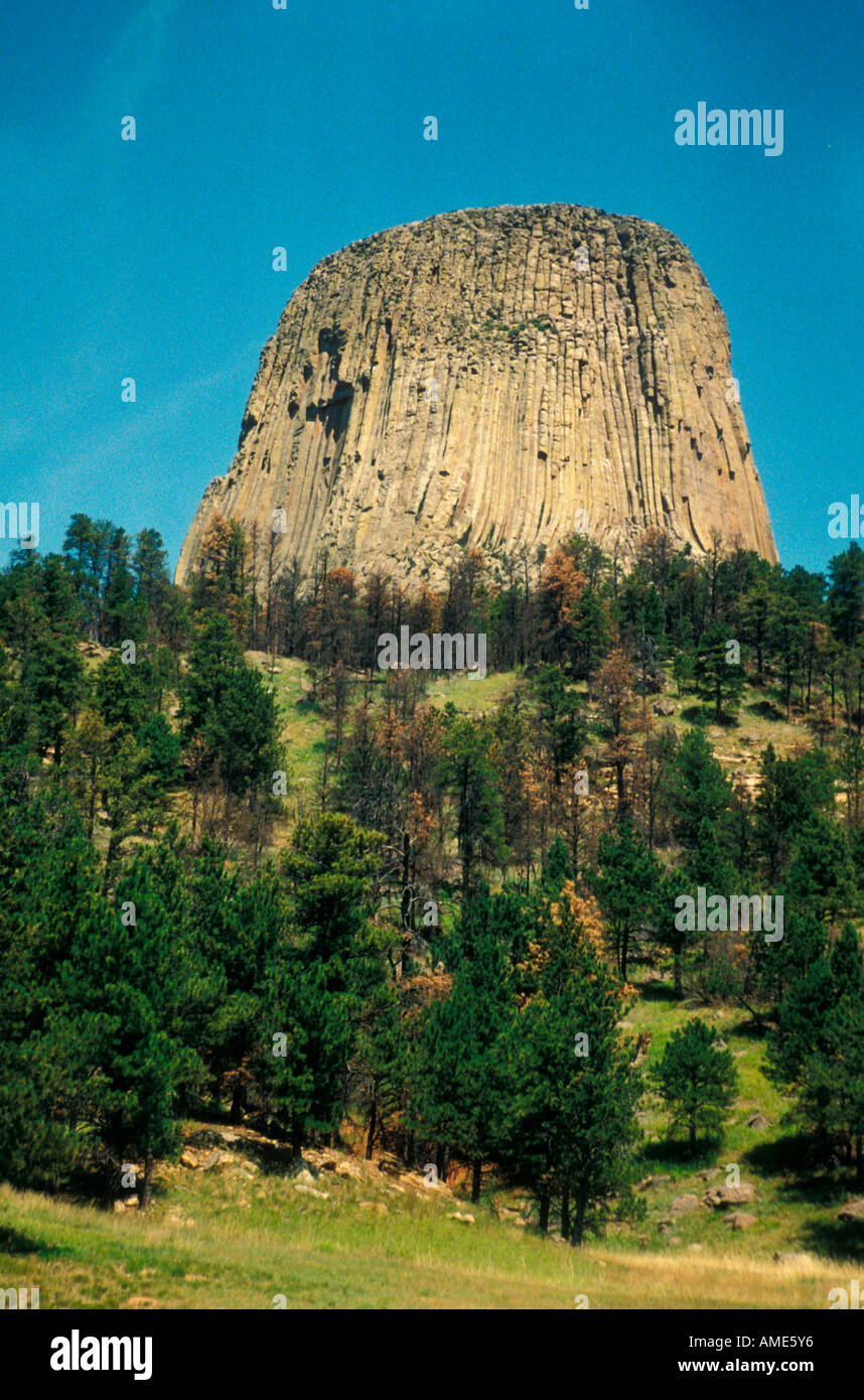 Des Teufels Tower National Monument Wyoming USA Stockfoto