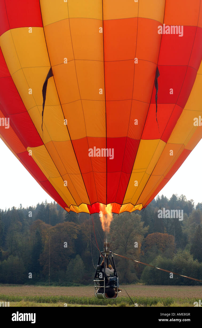 Heißluftballon erhebt sich über einer Wiese. Stockfoto
