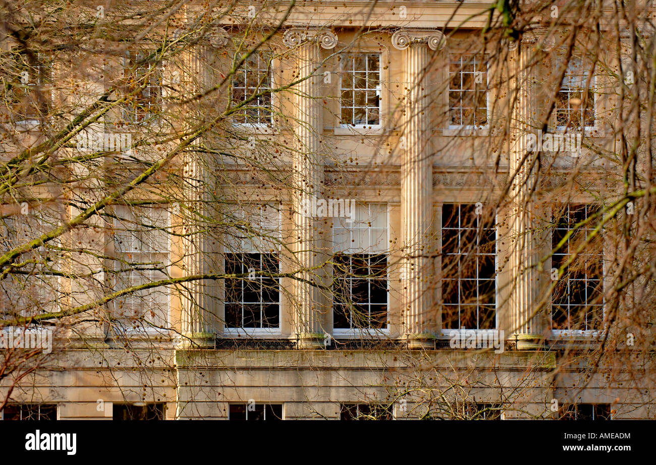 Architektur: Platanen bilden einen herbstlichen Bildschirm über Säulen im Queen's Square, Bath, Somerset, Großbritannien. Bild Jim Holden. Stockfoto