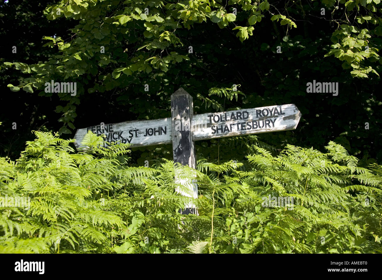 Überwuchert Straßenschild Stockfoto