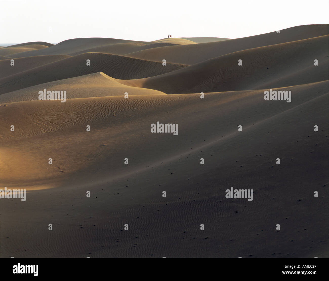 Letztes Licht über die Verschiebung Sanddünen von Playa de Maspalomas auf der Kanarischen Insel Silhouette des Menschen am Horizont Stockfoto