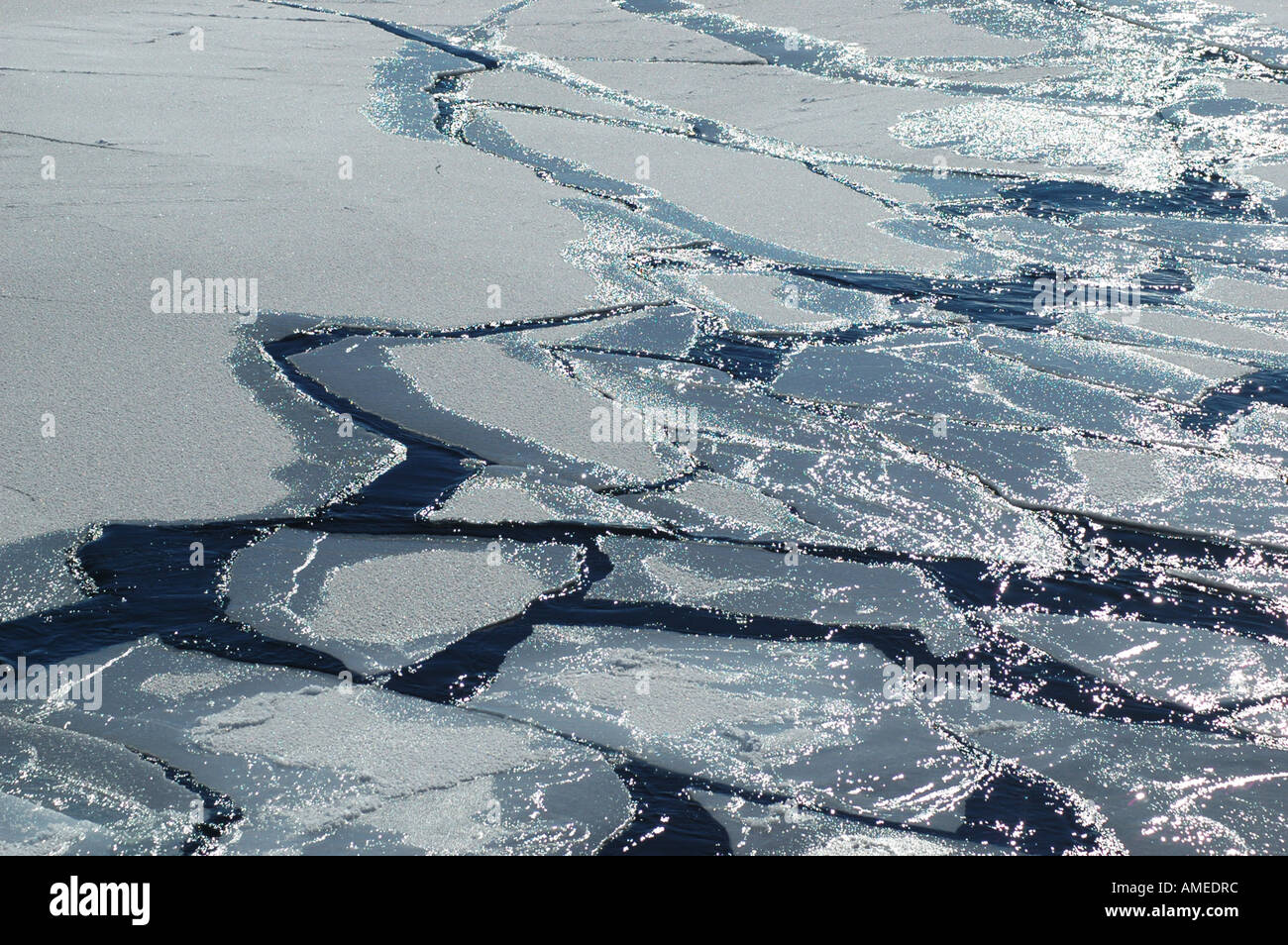 Brechen von Eisschollen, Antarktis Stockfoto