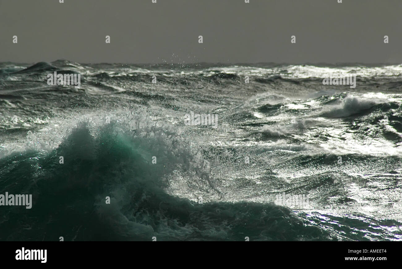 Wellen in der Drake-Passage, Antarktis Stockfoto
