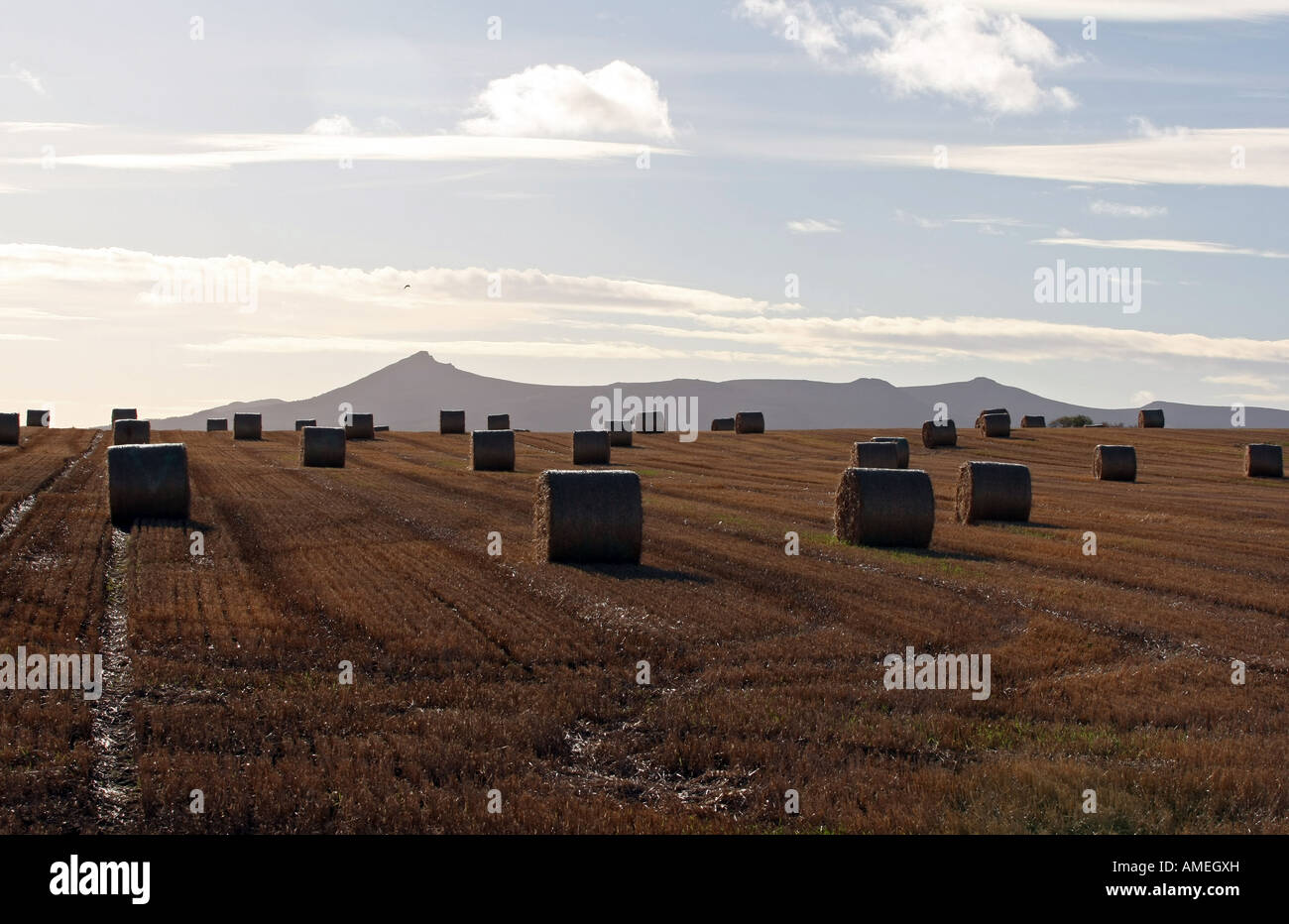 Heuballen auf landwirtschaftlichen Flächen neben dem Berg Bennachie in Aberdeenshire, Schottland, Großbritannien Stockfoto
