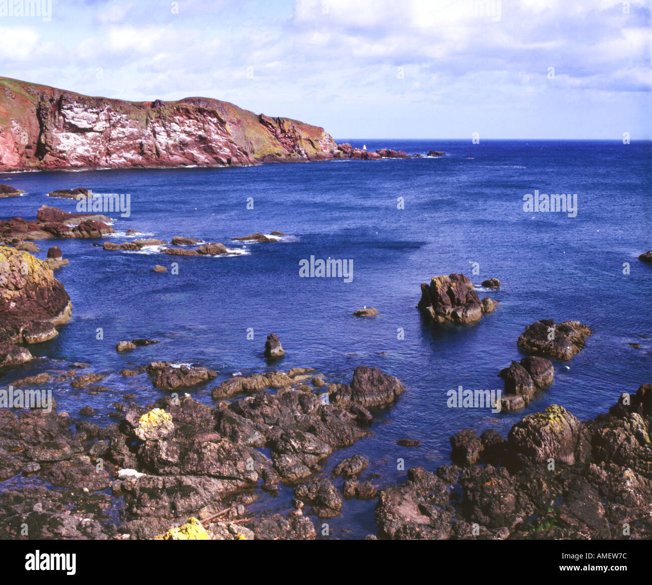 St. Abbs Head Nordsee Ostküste Schottland UK Vereinigtes Königreich GB Großbritannien britischen Inseln EU Europäische Union Europa Stockfoto