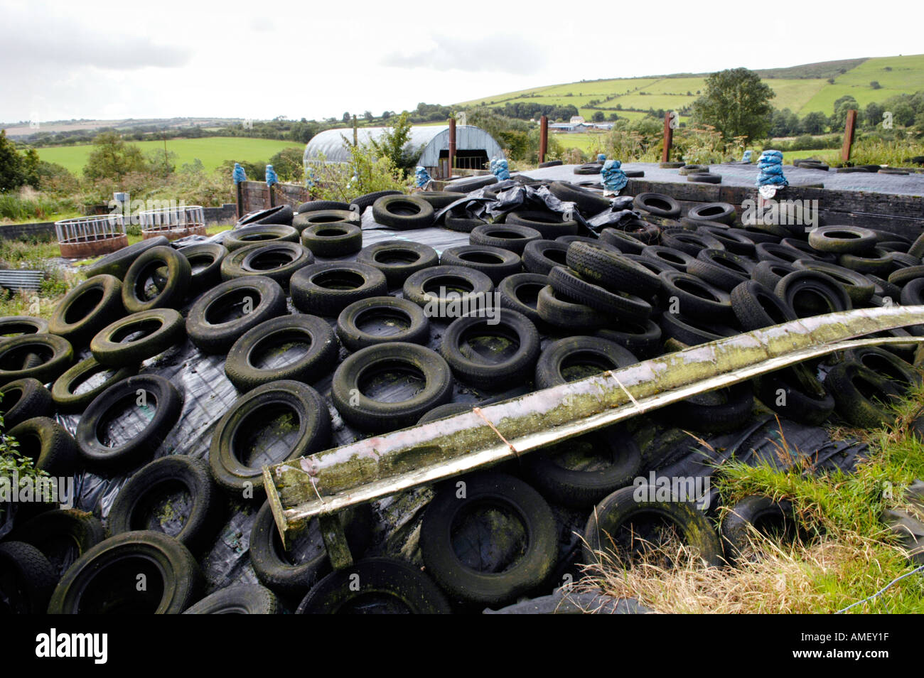 Verschimmelte Reifen halten Sie schwarze Kunststoffabdeckung Silage Klemmen Bauernhof UK Stockfoto