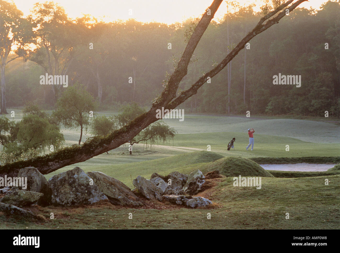 Mann, Golfen Stockfoto