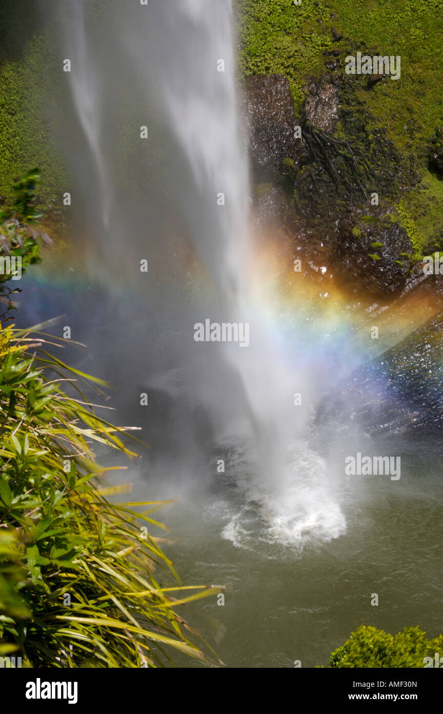 Bridal Veil Falls, 55 Meter hoch, in der Nähe von Te Mata, Waikato, Nordinsel, Neuseeland. Stockfoto