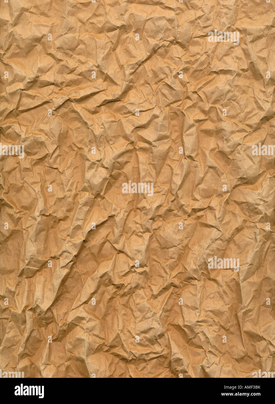 sehr faltig Blatt braun mit rauen Textur Stockfoto