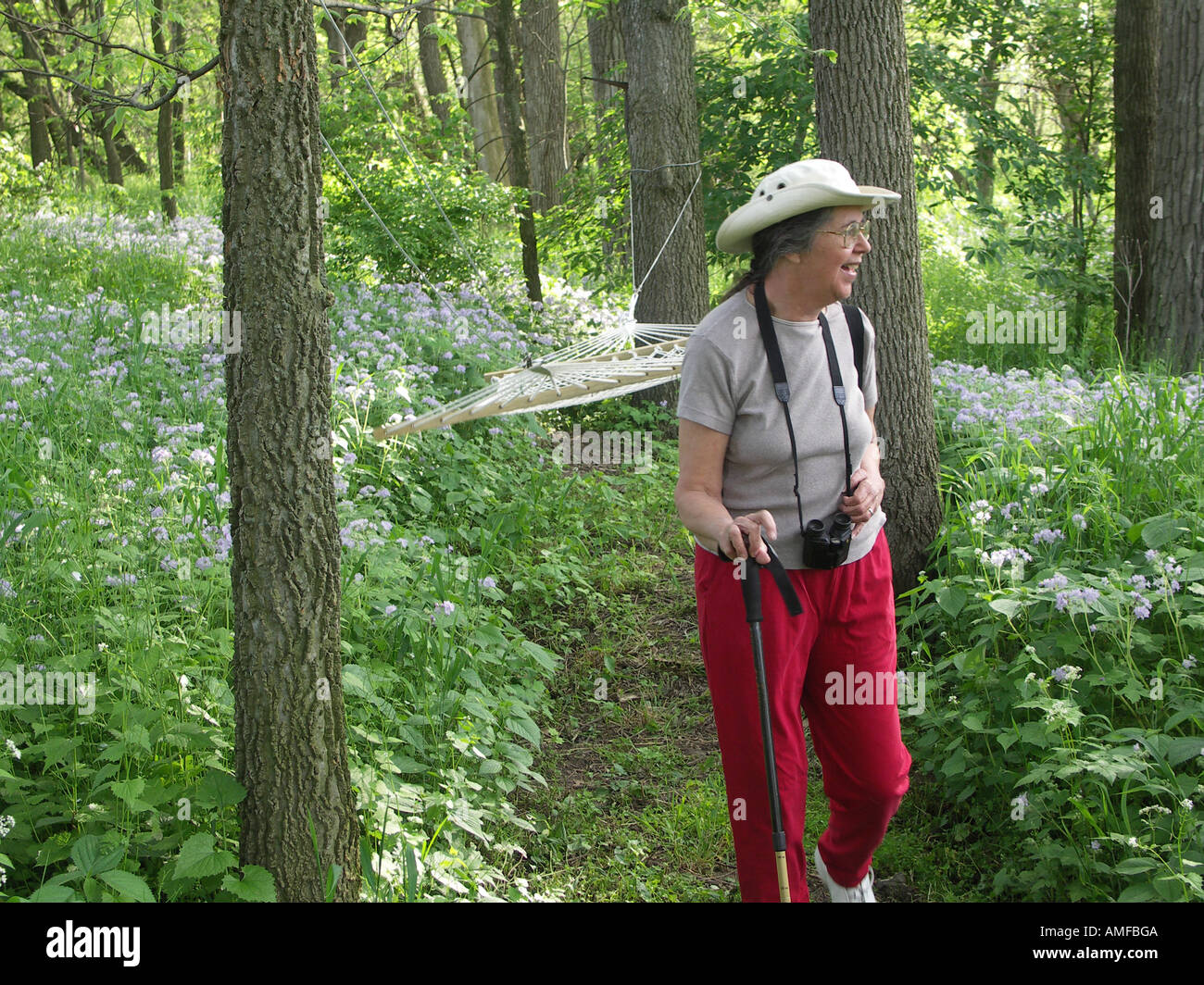 Fuß durch Wald Stockfoto