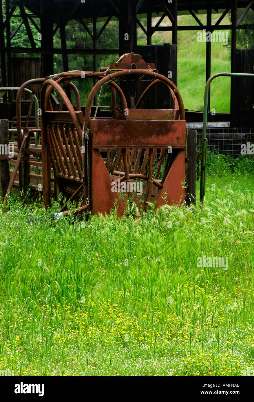 Eine rostige Rinder-Shooting auf einer Rinderfarm California Stockfoto