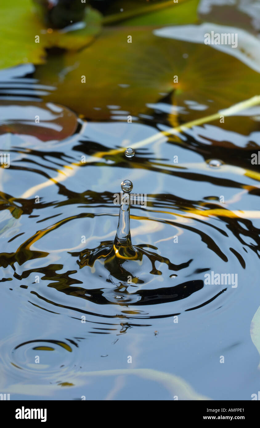 Wassertropfen in einem Teich Stockfoto