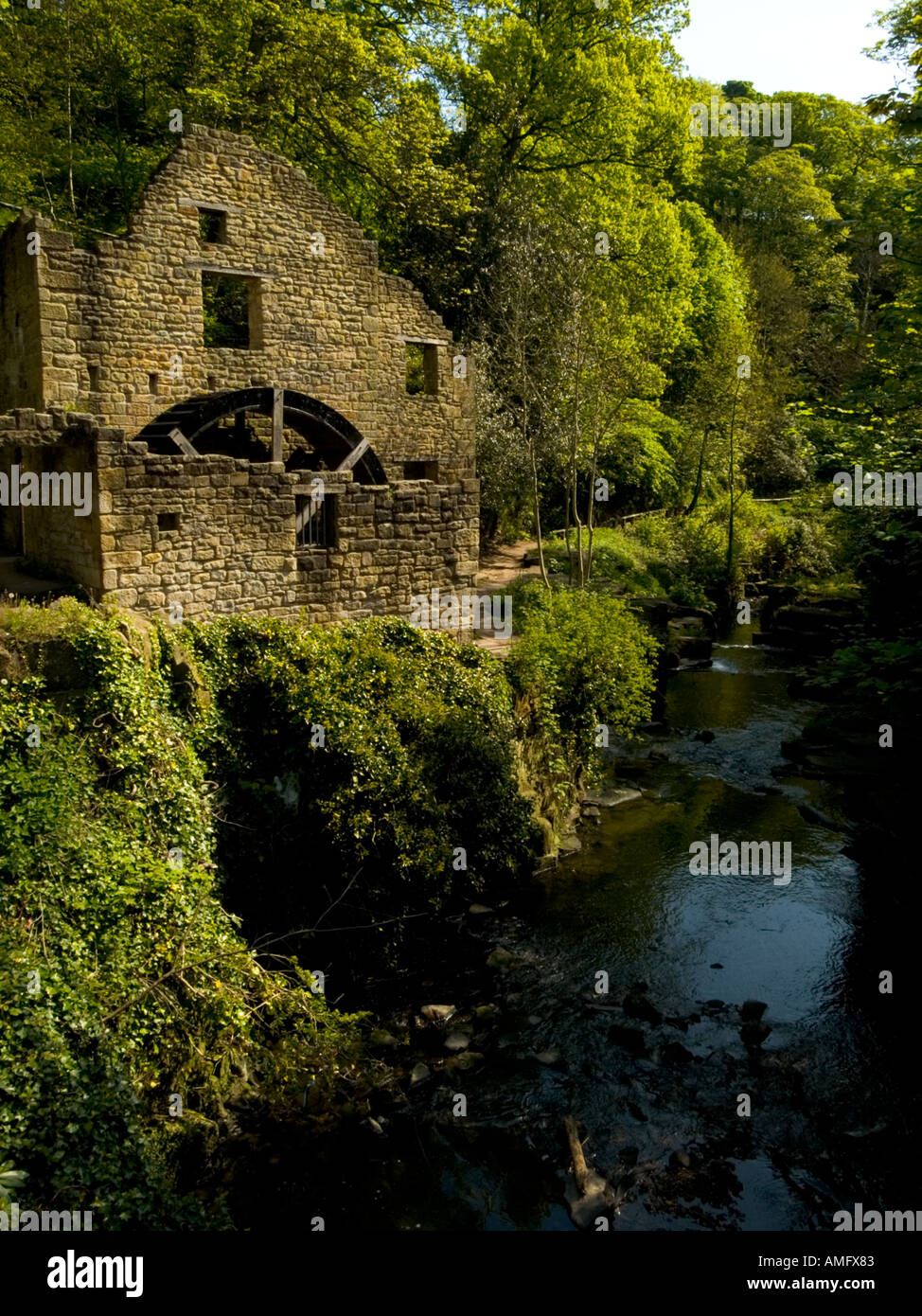 Eine alte Wassermühle steht an einem Fluss in Jesmond Dene Newcastle Upon Tyne Stockfoto