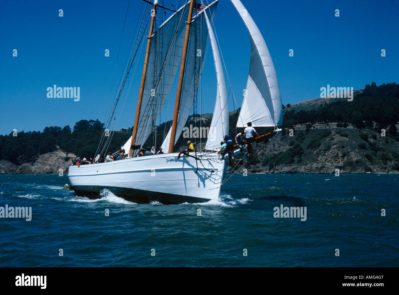 Wandern Sie Vogel 106 Fuß Skooner San Franciso Bay Kalifornien USA Stockfoto