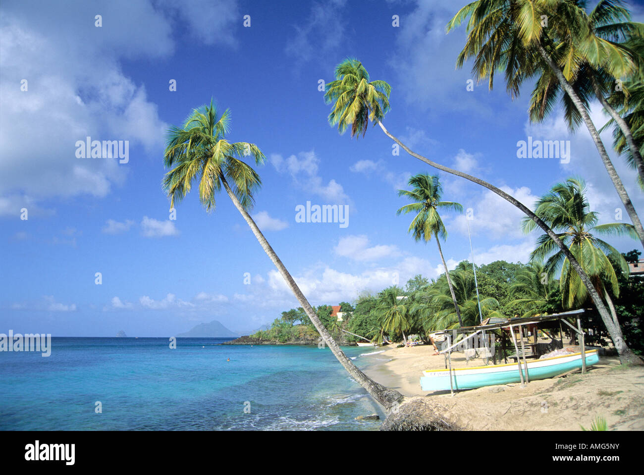 Anse Figuier Martinique West indies Stockfoto