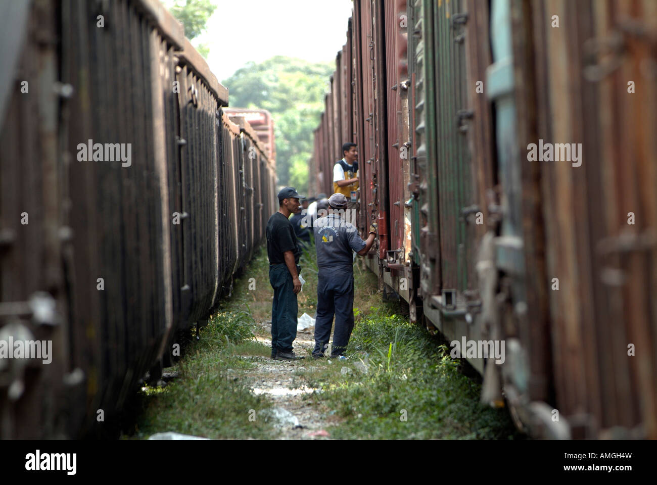 Südgrenze Mexikos wurde vor kurzem von extrem gewalttätigen Verbrechen von Mara Salvatrucha Gruppemitglieder geplagt Stockfoto