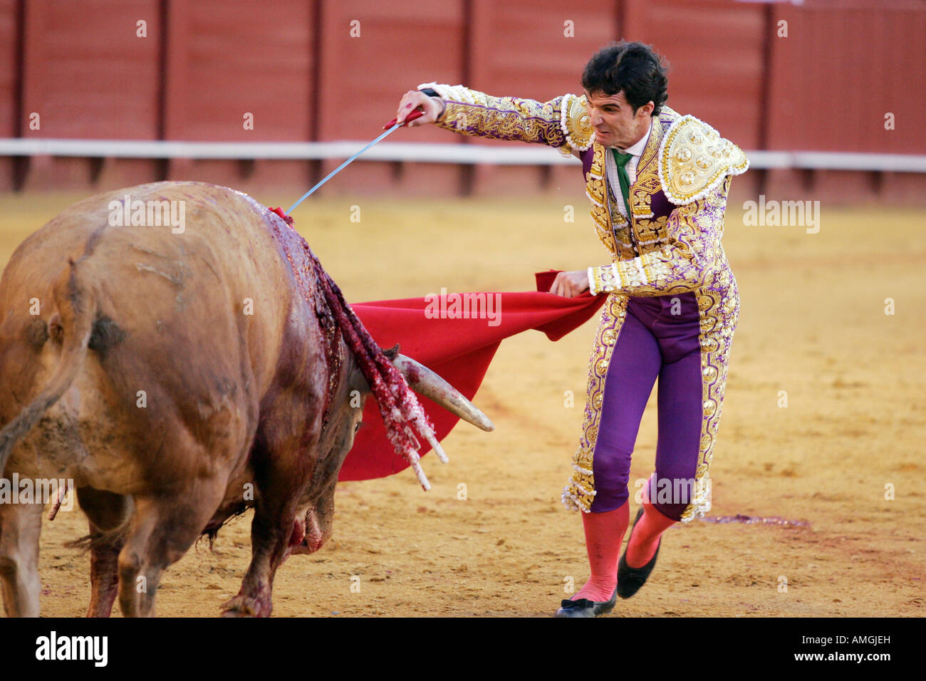 Sequenz zeigt, wie ein Torero führt die stechende oder Estocada, den Stier zu töten. Stockfoto