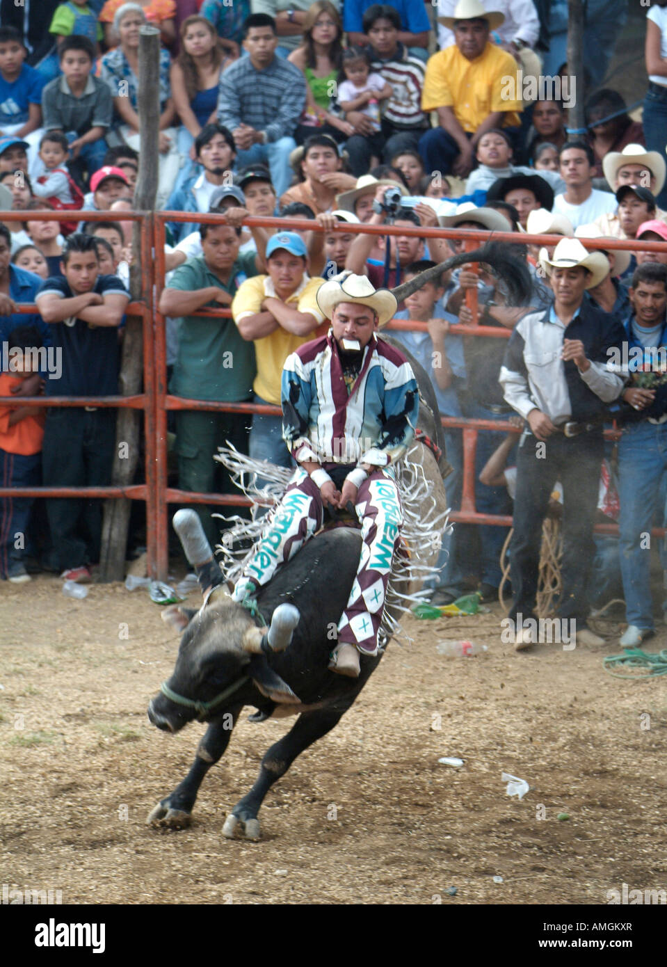 Bull riding mexican rodeo -Fotos und -Bildmaterial in hoher Auflösung ...