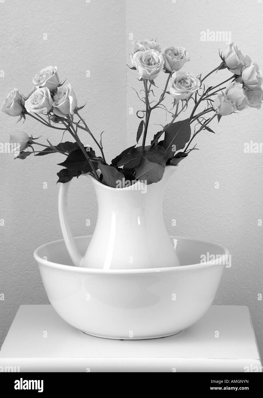 Rosen in vase Stockfoto