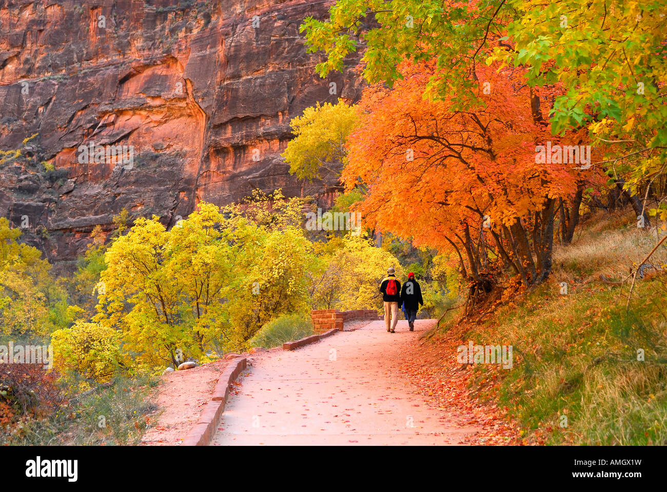 Ein Spaziergang im Zion Canyon durch den herbstlichen Wald Stockfoto