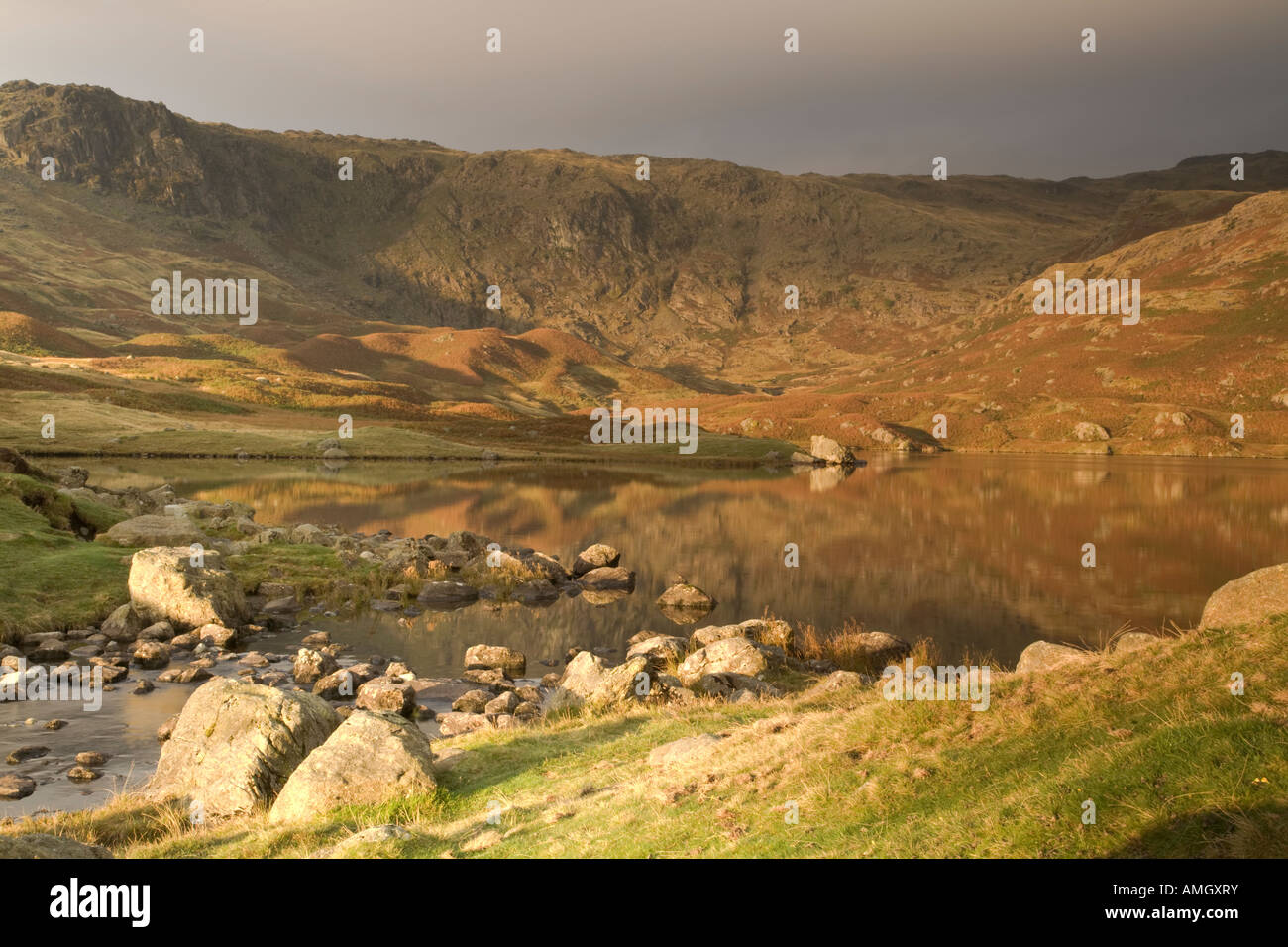 Herbstlichen Morgendämmerung über Easedale Tarn blicken nach Blea Crag und Slapestone Edge Lake District Stockfoto