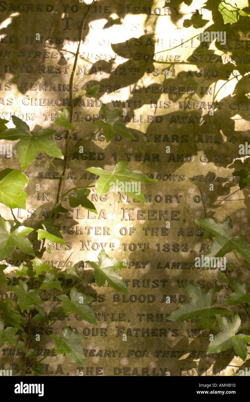 Efeu an Grab am Highgate Cemetery in London Stockfoto