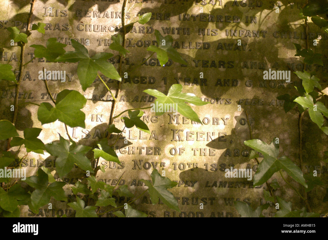 Efeu an Grab am Highgate Cemetery in London Stockfoto