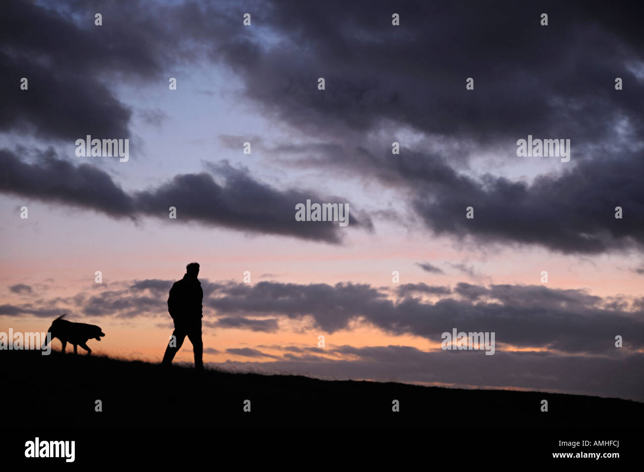 Mann, Spaziergang mit seinem Hund durch ein Feld von der Dämmerung Himmel abhebt Stockfoto