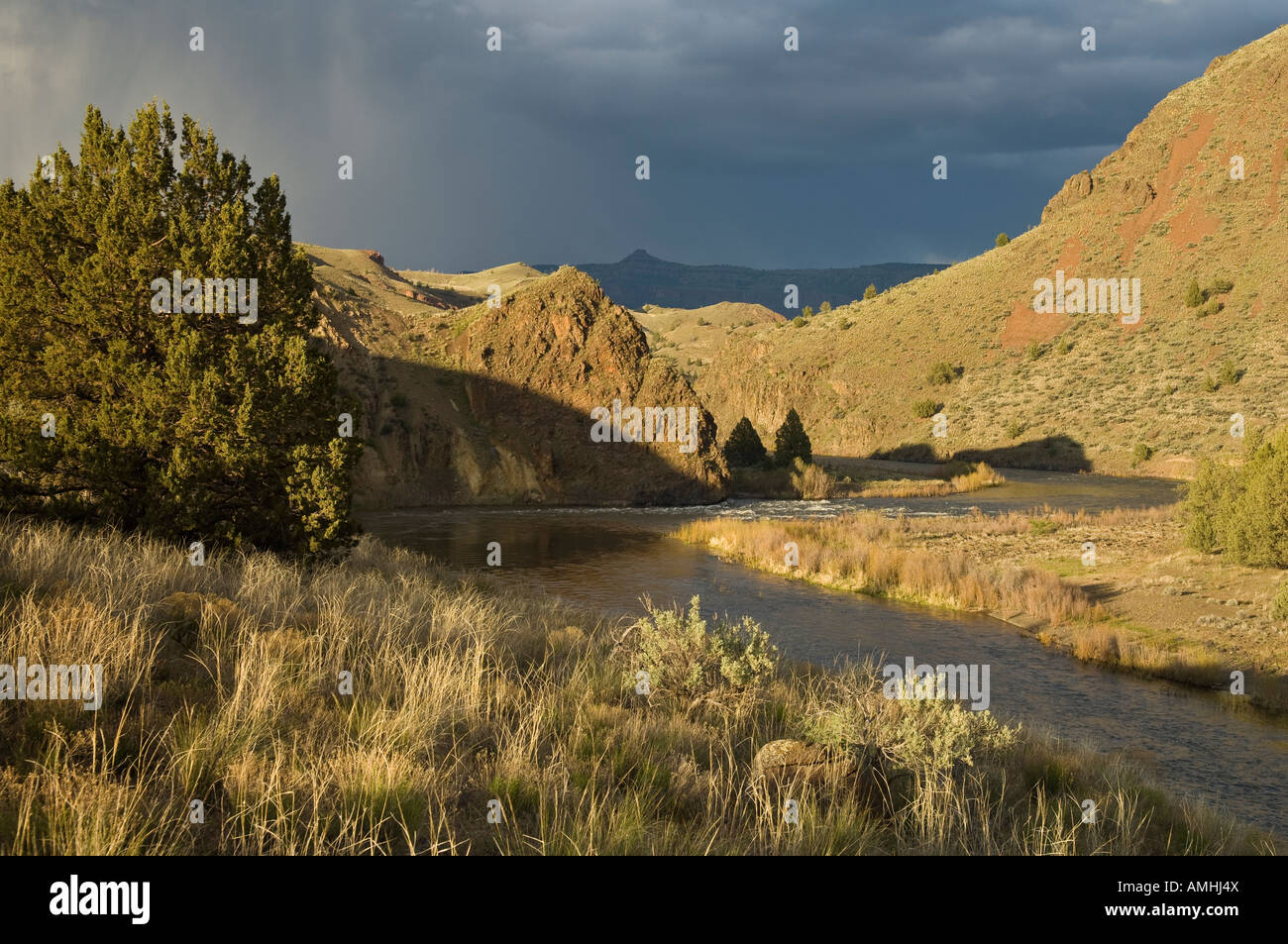 Am späten Nachmittag Licht auf der John Day River-Oregon Stockfoto