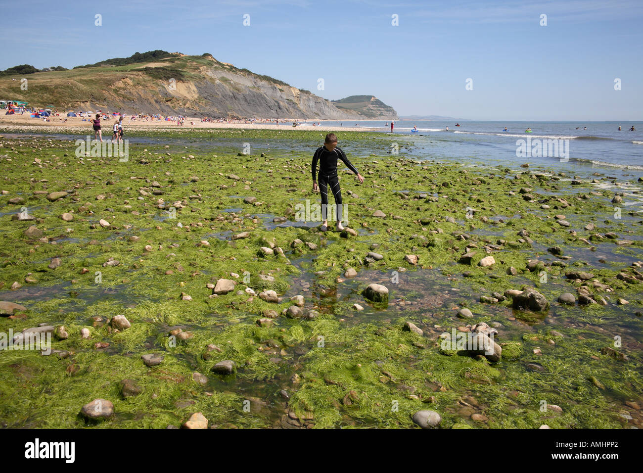 Junge im Neoprenanzug sorgfältig zu Fuß über Algen. Strand von Charmouth, Dorset, England, UK Stockfoto