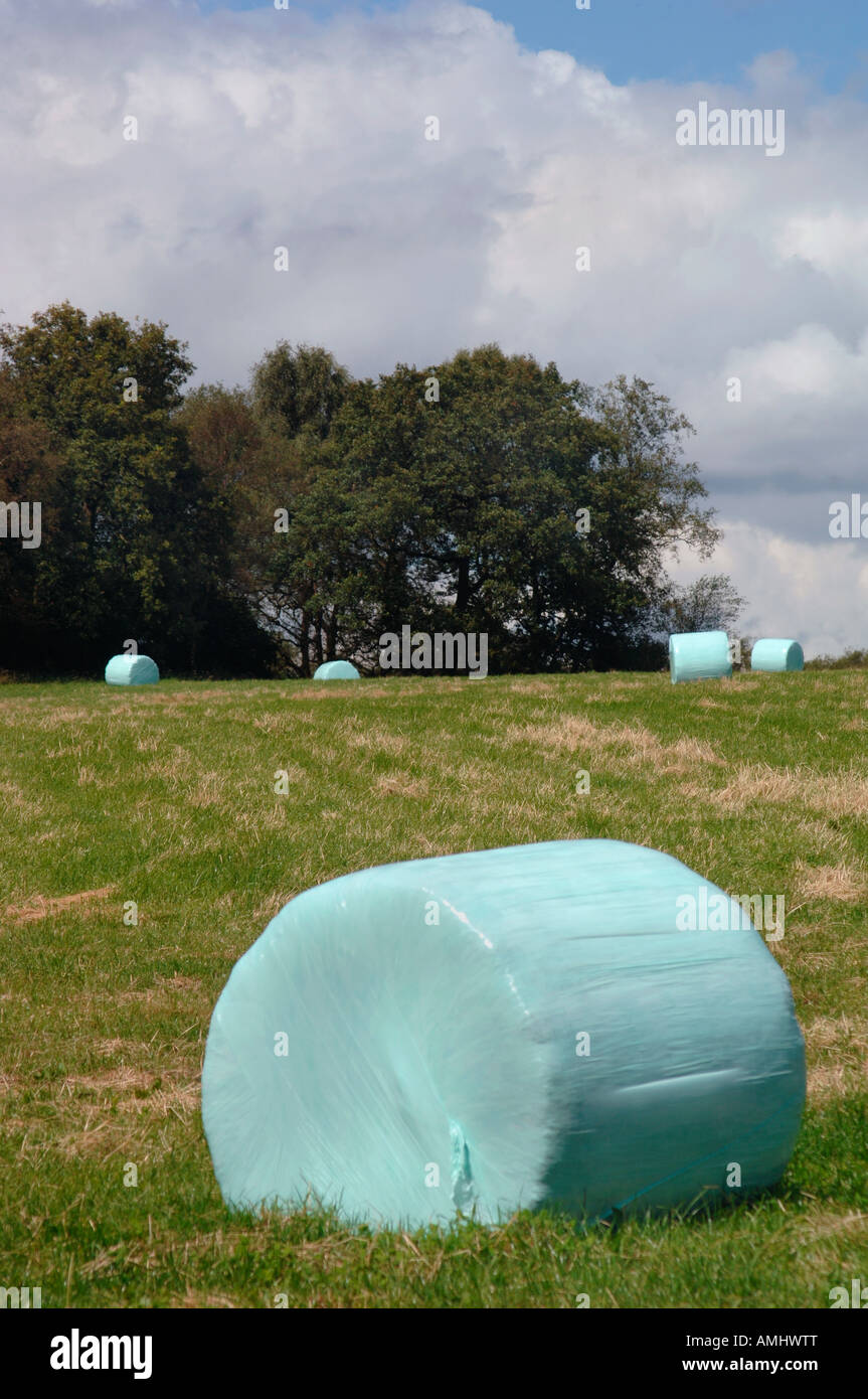 Hay Bails platziert In Polyethylen umfasst, zum Schutz vor schlechtem Wetter. In der Staffordshire UK Natur gelegen. Stockfoto