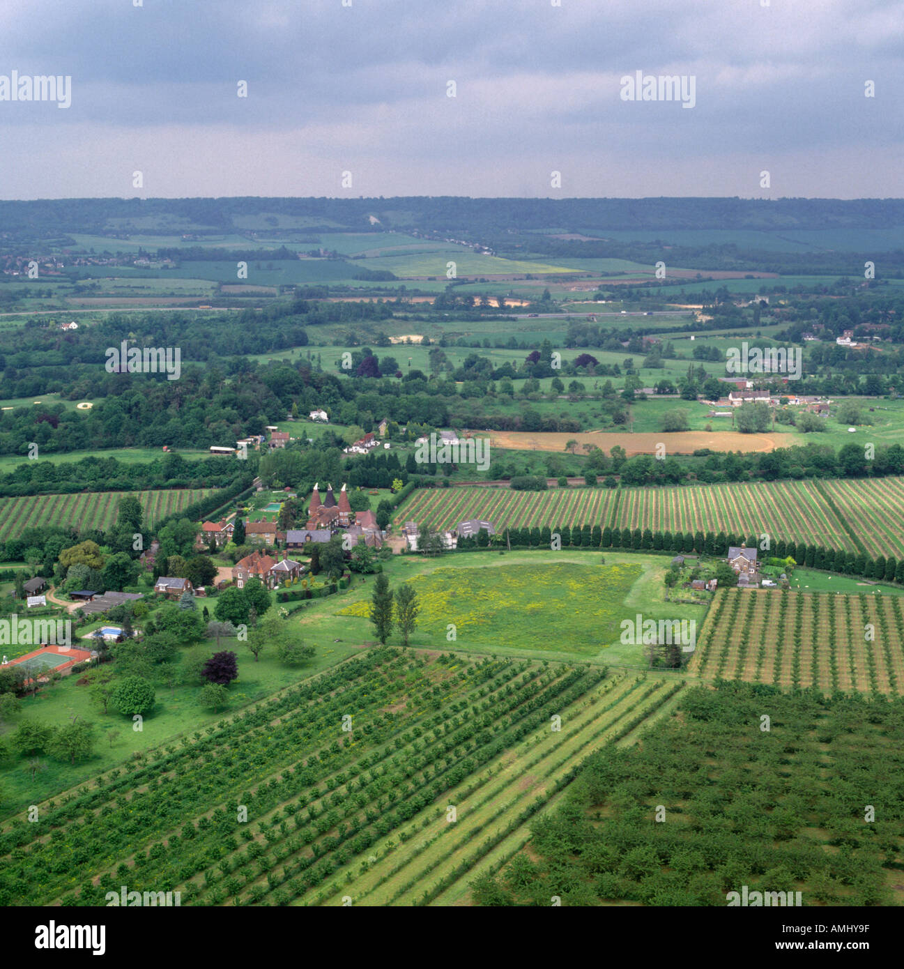 Traditionelle Obstgarten Luftbild Kent UK Stockfoto