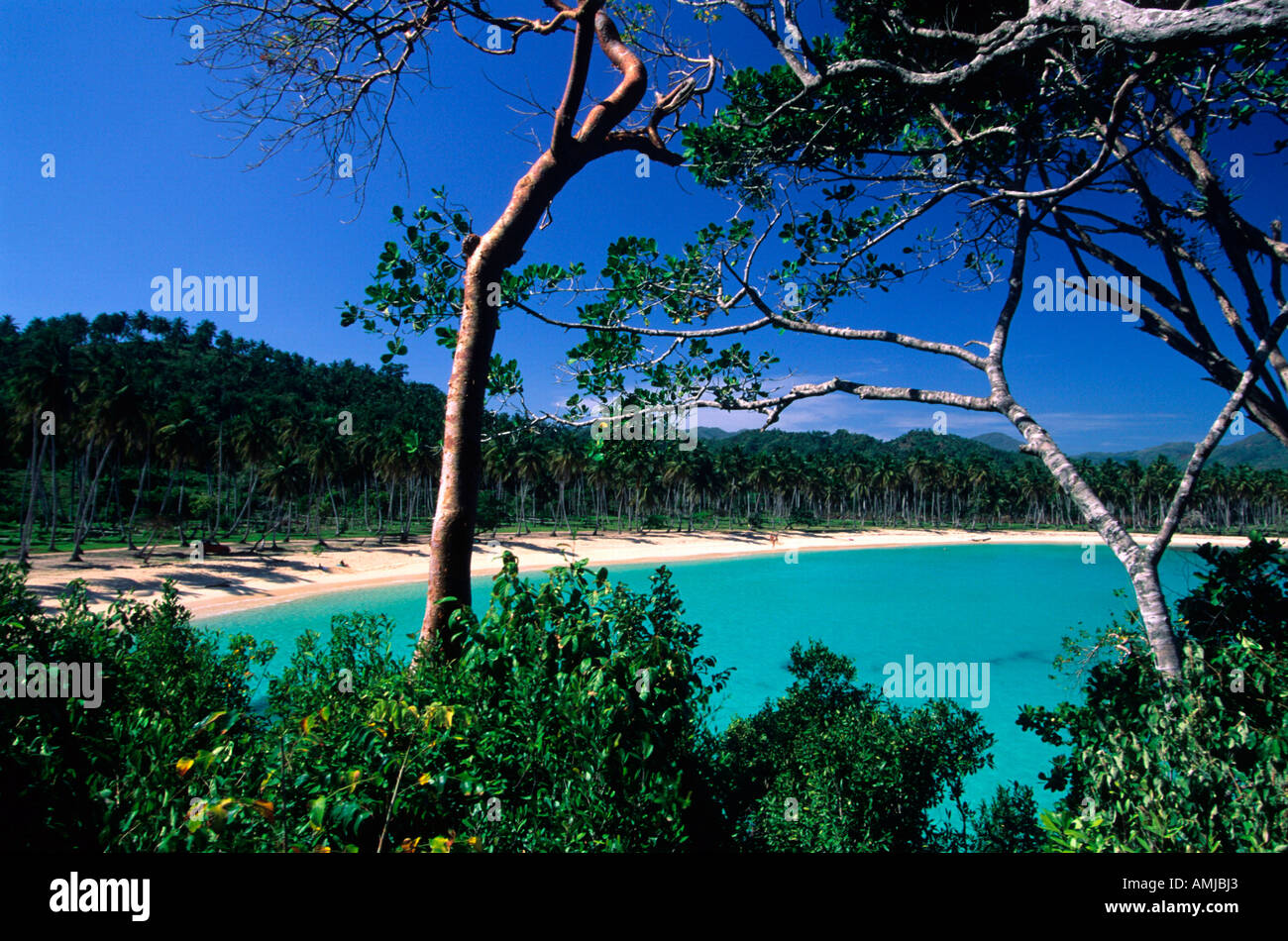 Dominikanische Republik, Samana Halbinsel, Strand Bei Las Galeras Stockfoto