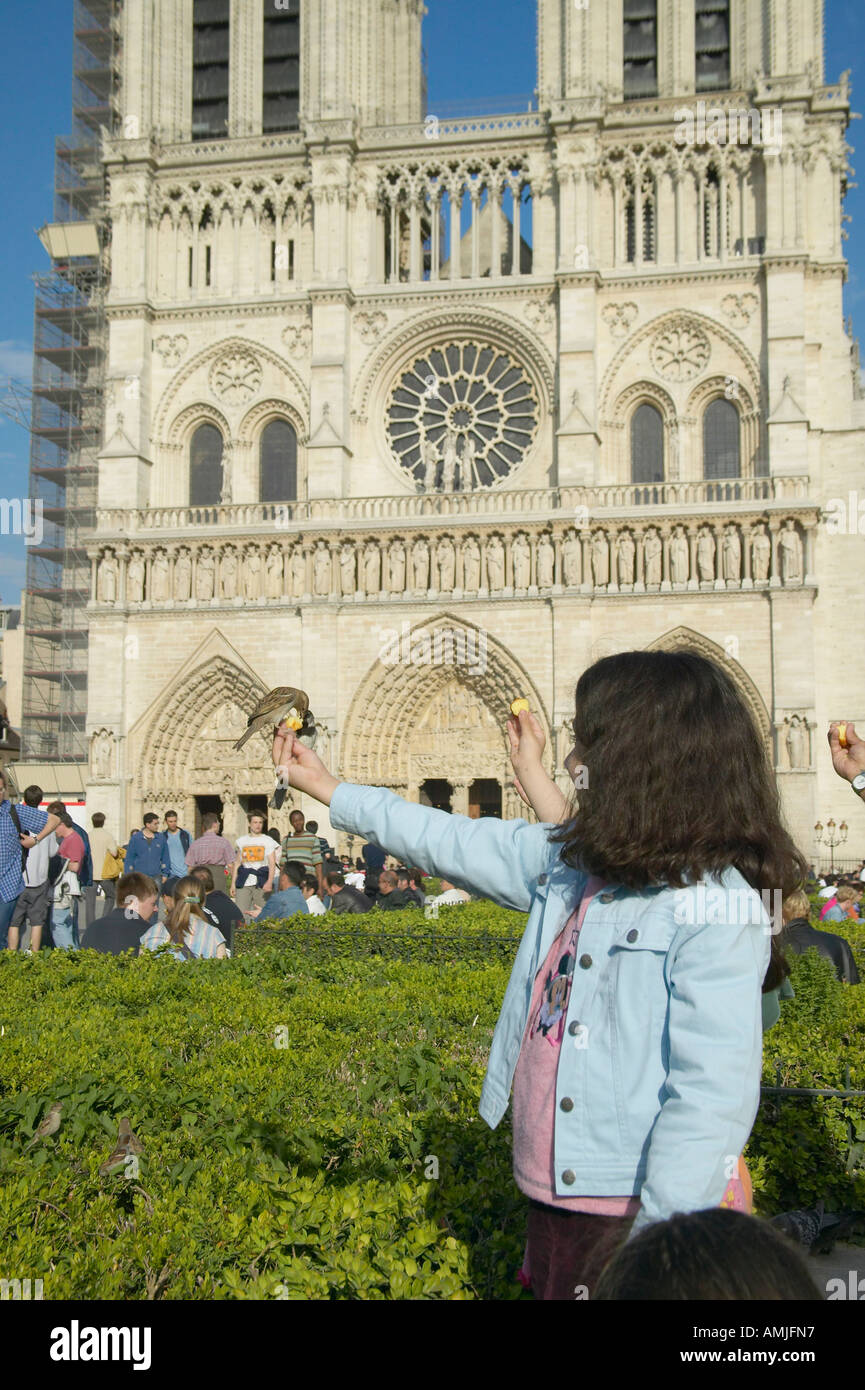Mädchen spielen mit Vögel im Park neben der Notre Dame Kathedrale Paris Frankreich Stockfoto