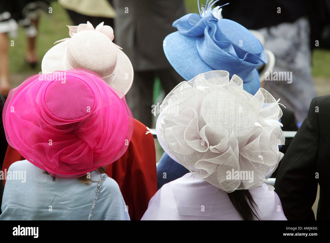 Frauen tragen Hüte in Royal Ascot Pferderennen, York, Großbritannien Stockfoto