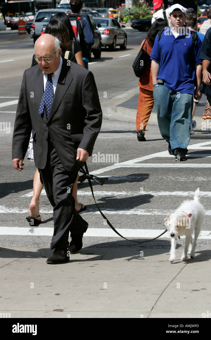 Mann im Anzug geht weißen Hund Michigan Avenue Chicago Illinois USA Stockfoto