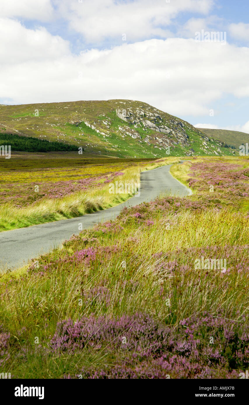 Wicklow Mountains Hügel. Ruhige einsame offen Bergstraße 5 Meilen NW von Laragh Sally Gap aus. County Wicklow, Irland. Stockfoto